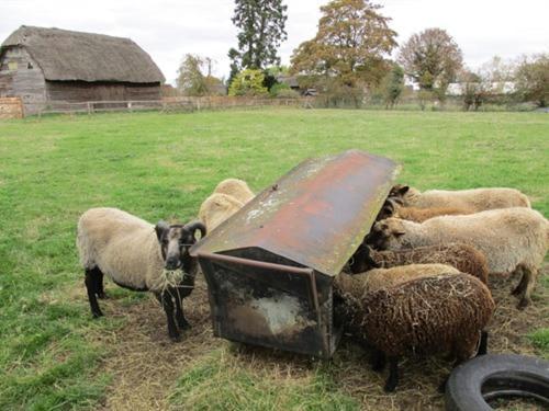 شقة The Red Barn Long Wittenham المظهر الخارجي الصورة