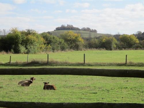 شقة The Red Barn Long Wittenham المظهر الخارجي الصورة
